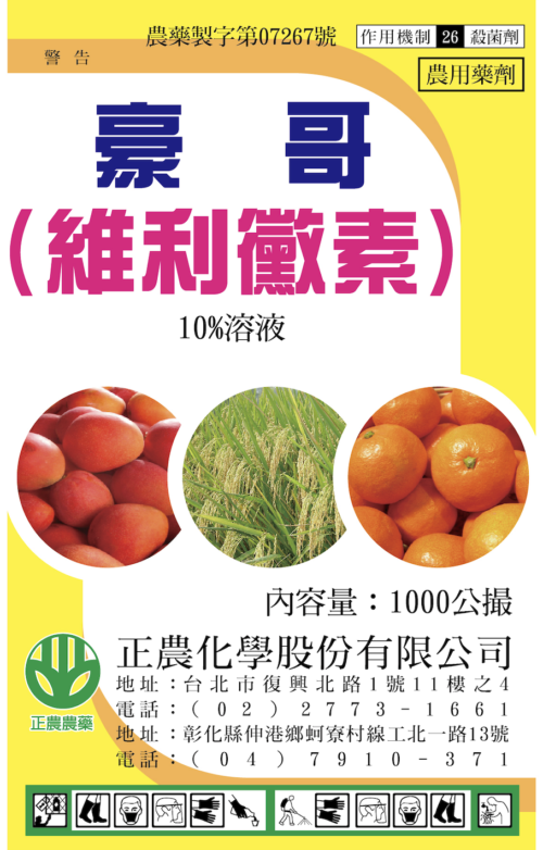 豪哥